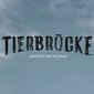 Tierbrücke - Jede Seele braucht ein Zuhause - Kinotour 2025 | Zusatzshow