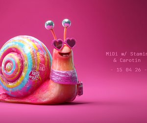 MiDi w/ Stamina & Carotin am Mi, 15.04.2026 - GrooveStation, Dresden
