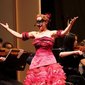 „Neujahrskonzert“ - Elbland Philharmonie Sachsen