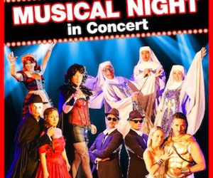 Musical Night in Concert am Fr, 25.09.2026 - Stadthalle Stern, Riesa
