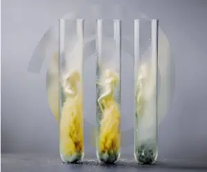 Richard Wagner: »Götterdämmerung« am Do, 14.05.2026 - Kulturpalast, Dresden