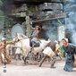 Die Spur der Hebamme