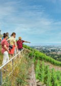 Kräuterwein und Weinelexiere - Wein und noch viel mehr / Weinkeller "Am Goldenen Wagen"