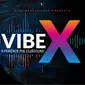 VIBE-X // X-Perience the Clubsound