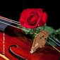Klänge der Romantik - von Mendelssohn, Tschaikowsky bis Rossini