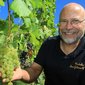 Kleine Weinbergwanderung - mit moderierter 4-Weinprobe durch die Radebeuler Weinberge für 3h