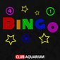 Bingo