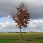 Wanderung durch den Karswald beim Schwarzen Ross.