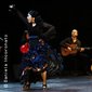 Pasión Flamenca